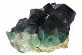 Purple-Green Octahedral Fluorite Crystals on Quartz - Fluorescent #124842-1